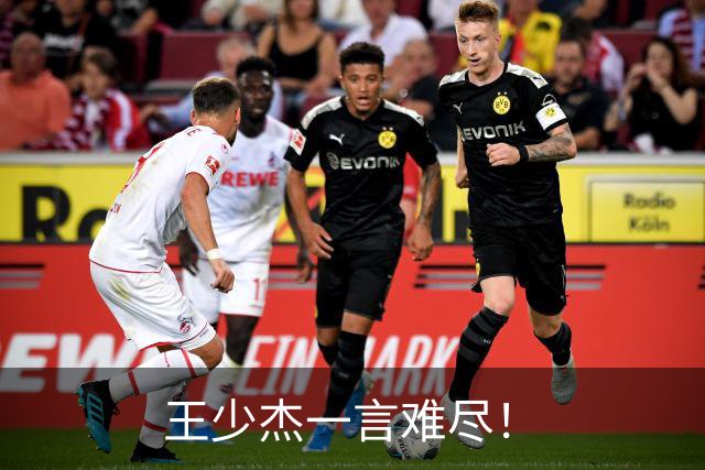 王少杰一言难尽！