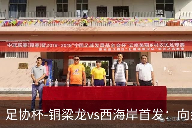 足协杯-铜梁龙vs西海岸首发：向余望、杜月徵、李昊、张修维出战